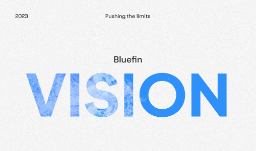 vision-blog